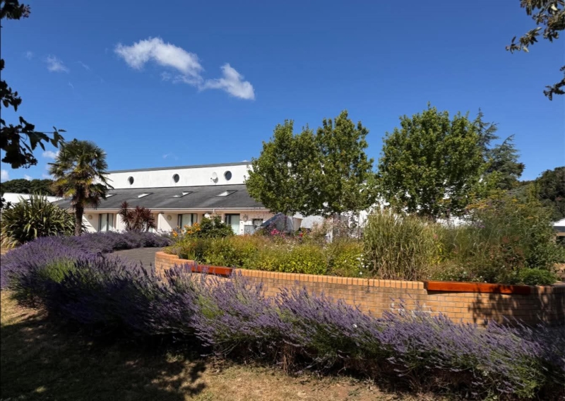 Ty Hafan Children's Hospice Garden